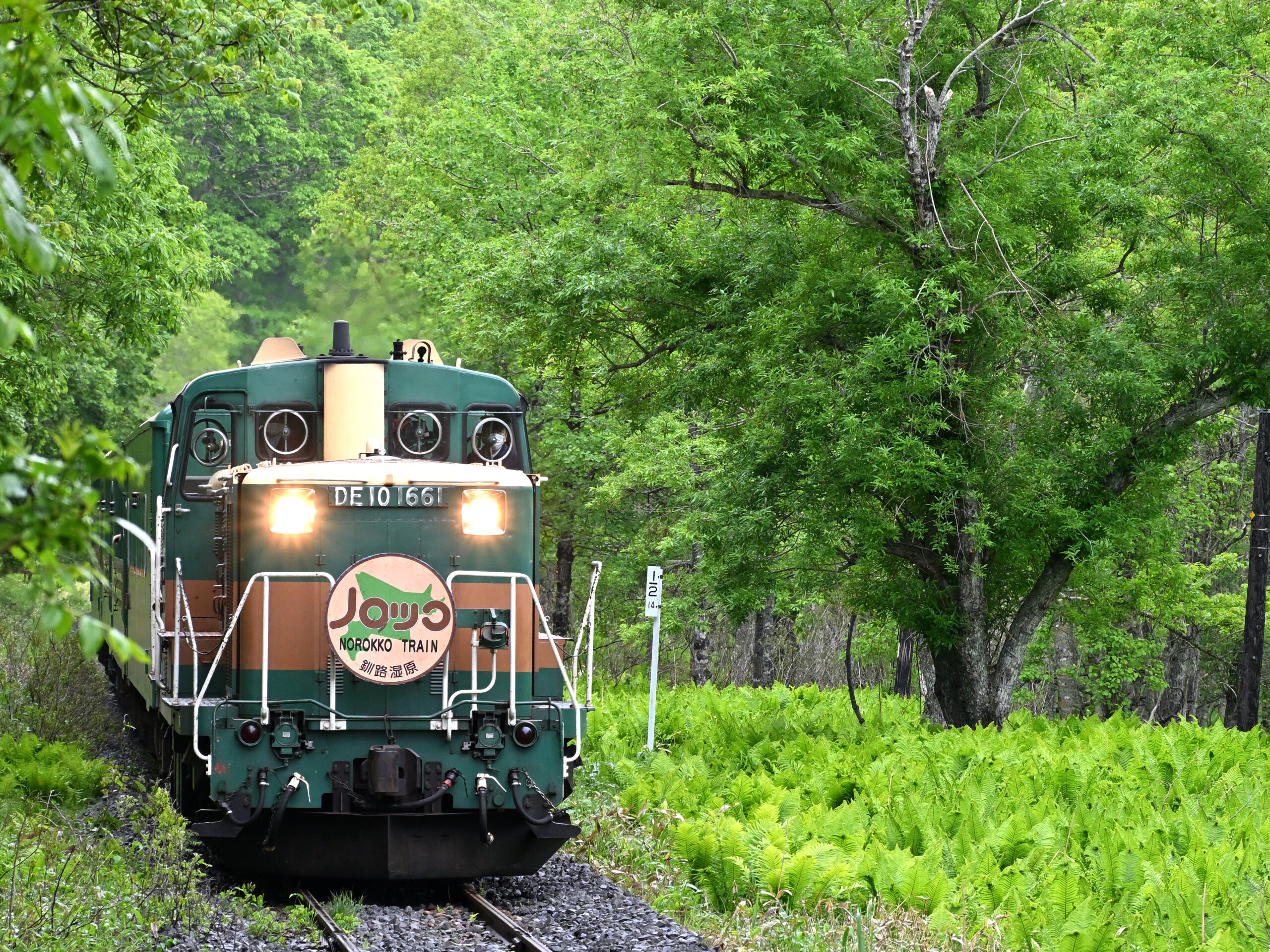 The trolley train through the marshlands of Kushiro